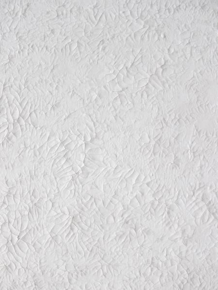 FLAKE 02