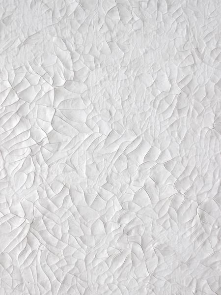 FLAKE 02