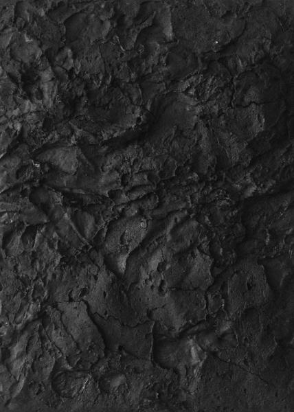 DORMANT 28