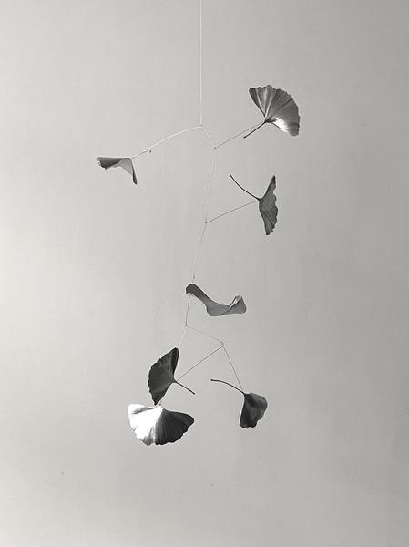 GINKGO 